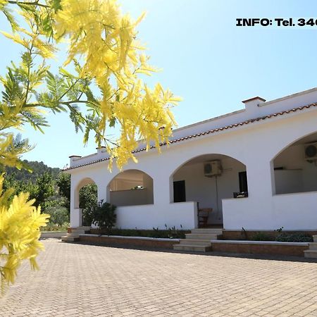 Annaluce Apartments В'єсте Екстер'єр фото