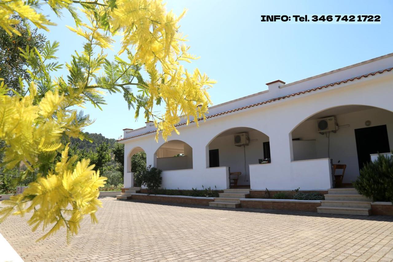 Annaluce Apartments В'єсте Екстер'єр фото